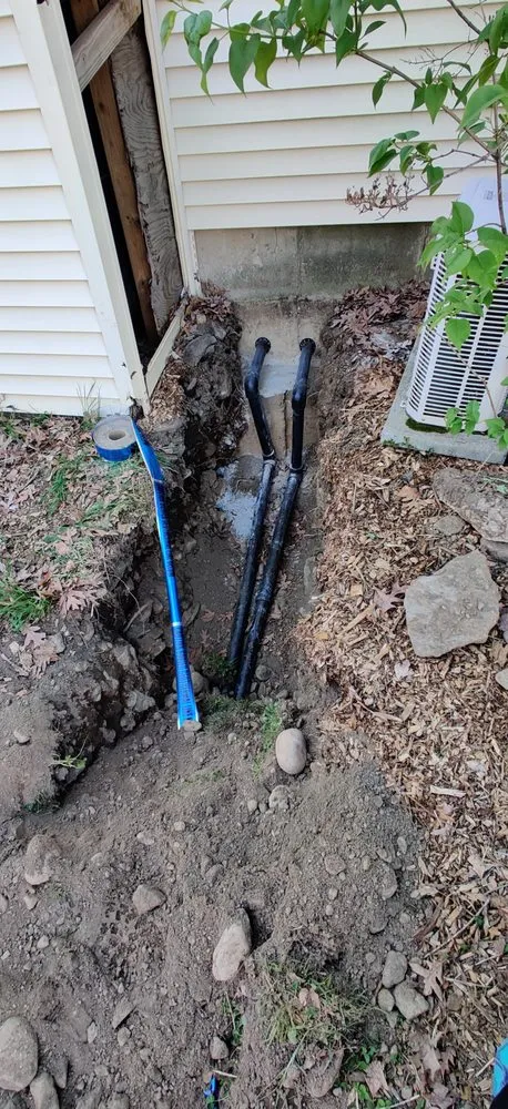 Slide of Dandelion Energy