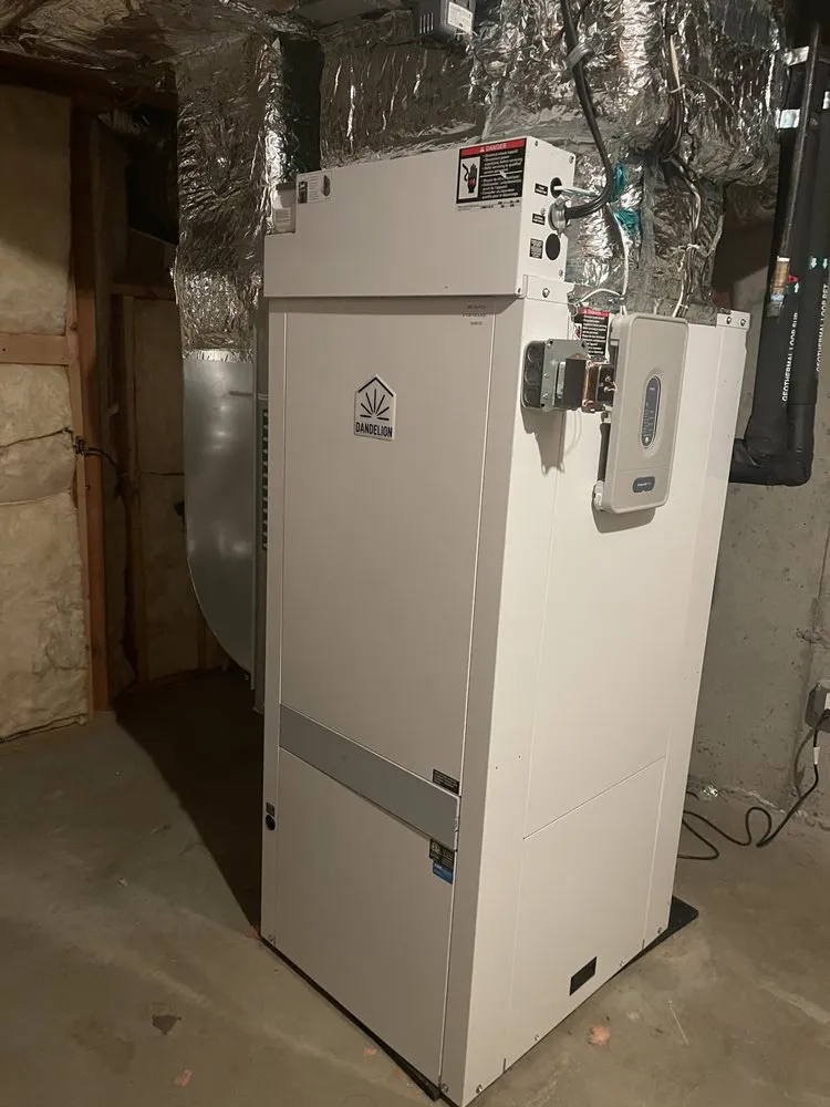 Slide of Dandelion Energy