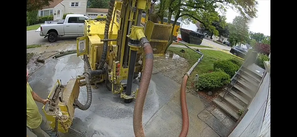 Slide of Dandelion Energy