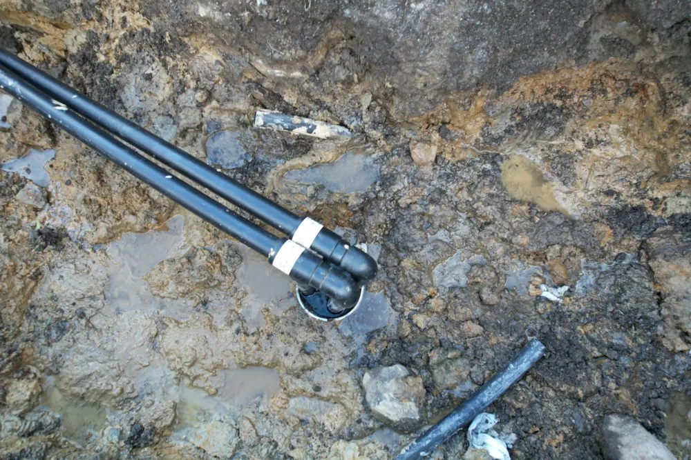 Slide of Dandelion Energy