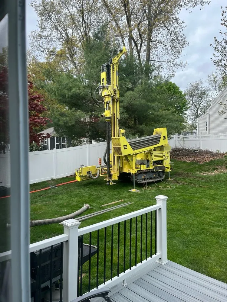 Slide of Dandelion Energy