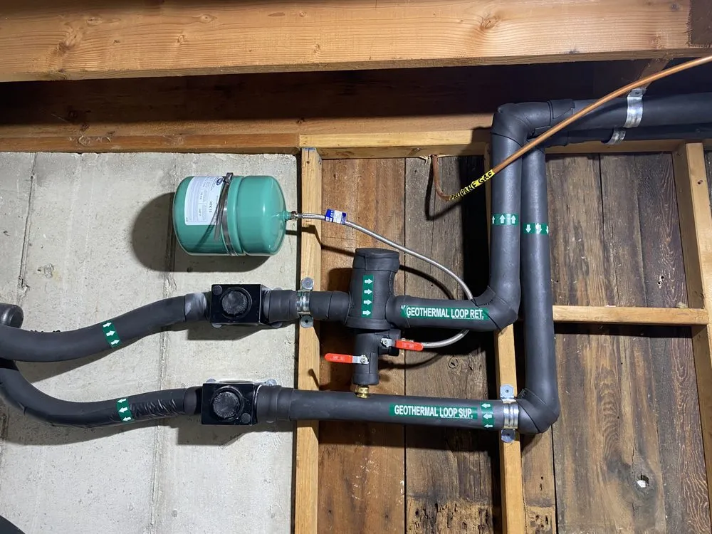 Slide of Dandelion Energy