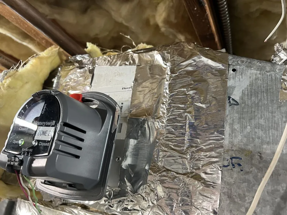 Slide of Dandelion Energy