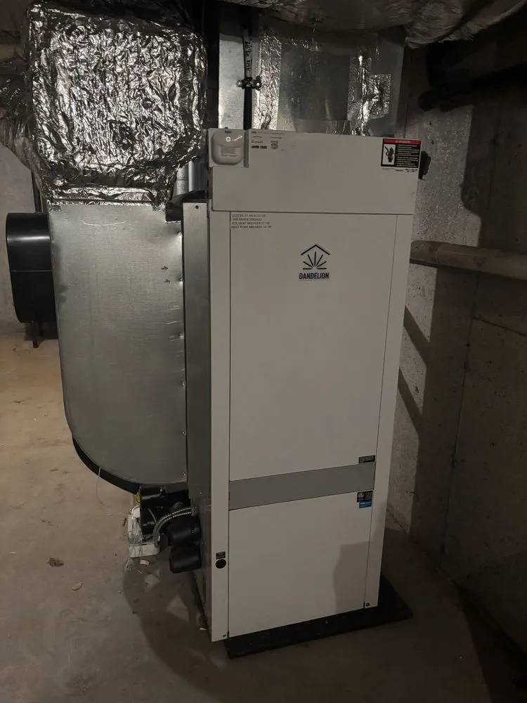 Slide of Dandelion Energy