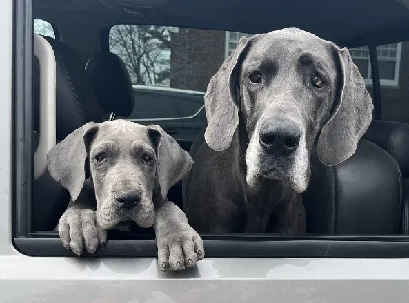 Slide of Dane Heating & Cooling