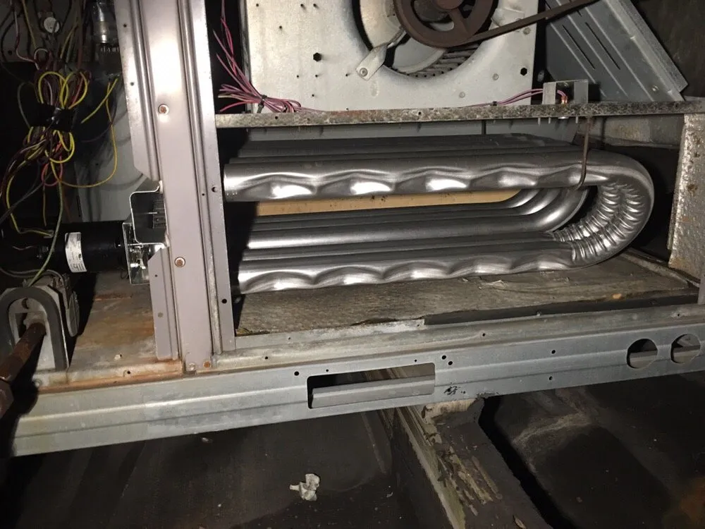 Slide of Dang's The Builder