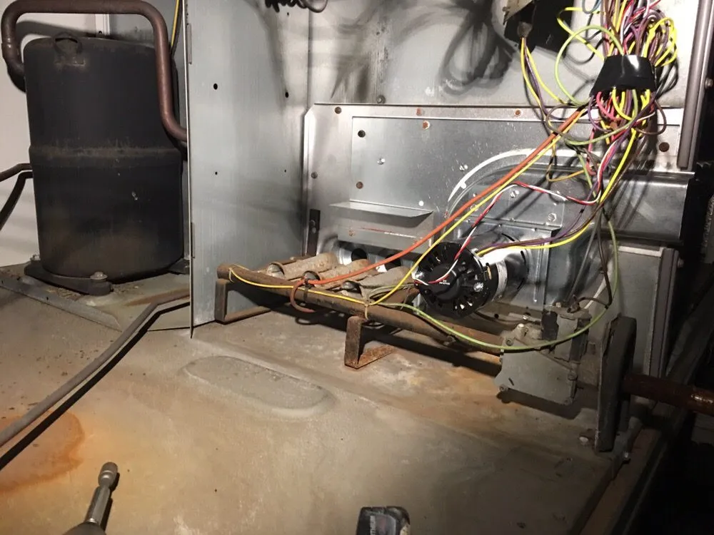 Slide of Dang's The Builder