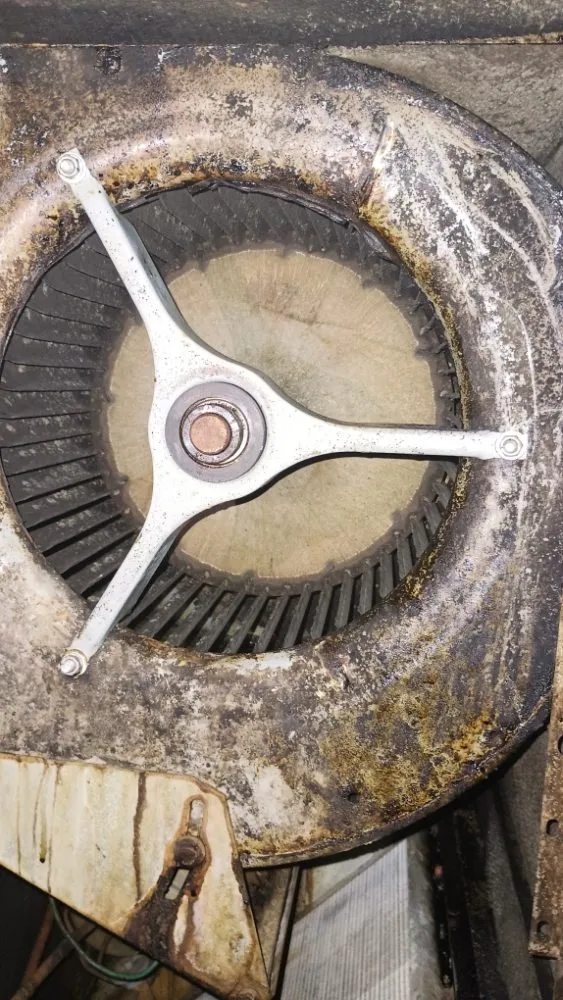 Slide of Daniel Freeze