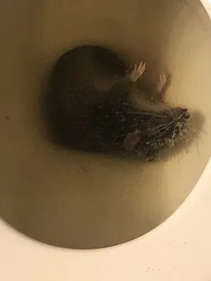 Daniel's Home Services HVACR