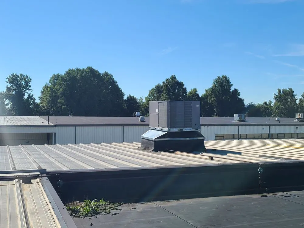 Slide of Dan's Reliant