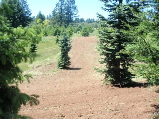 Slide of Dan's Top Notch Heating & Cooling