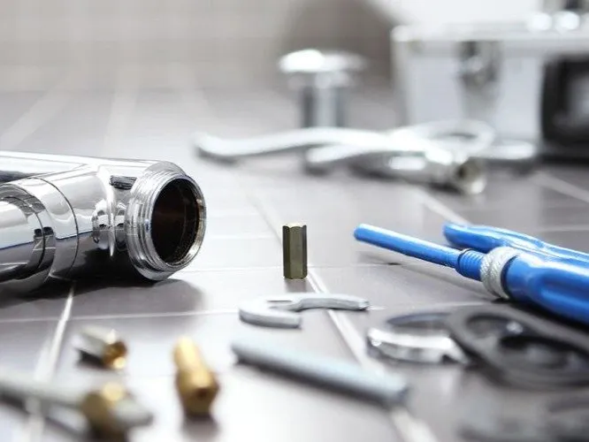 Slide of Dash Pro Services