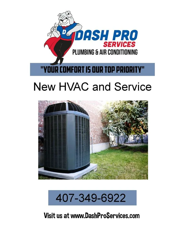 Slide of Dash Pro Services