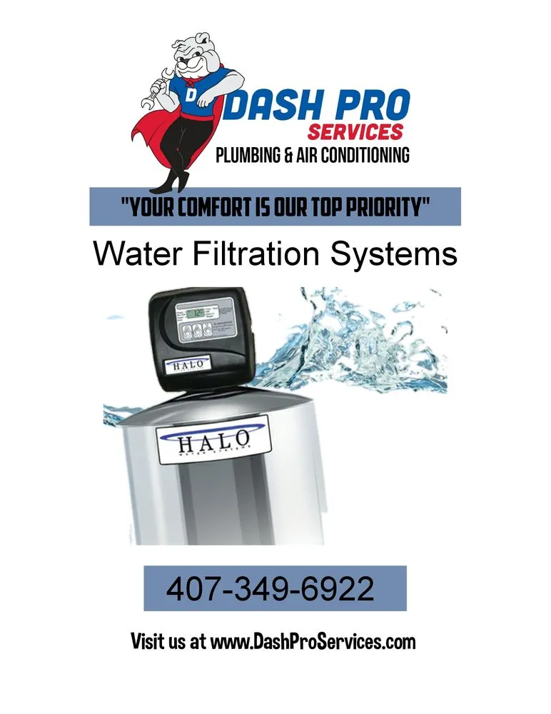 Slide of Dash Pro Services