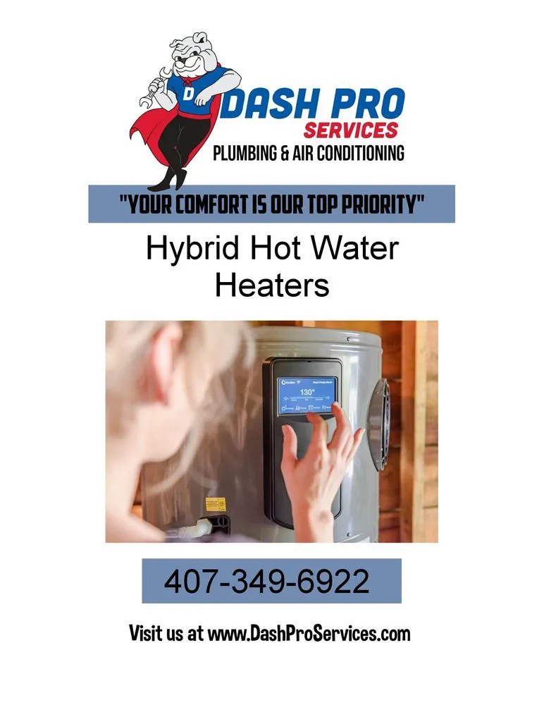 Slide of Dash Pro Services