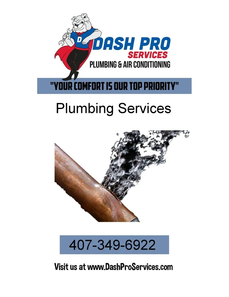 Slide of Dash Pro Services