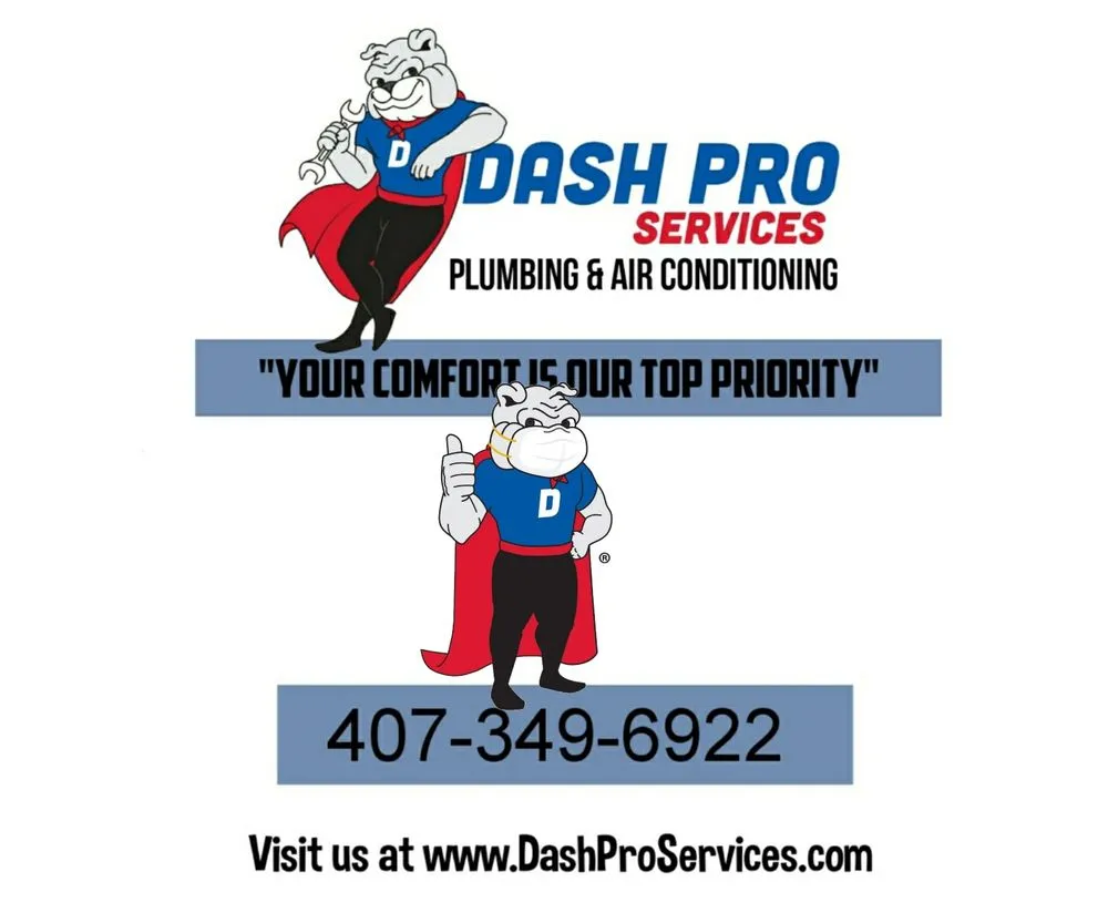 Slide of Dash Pro Services