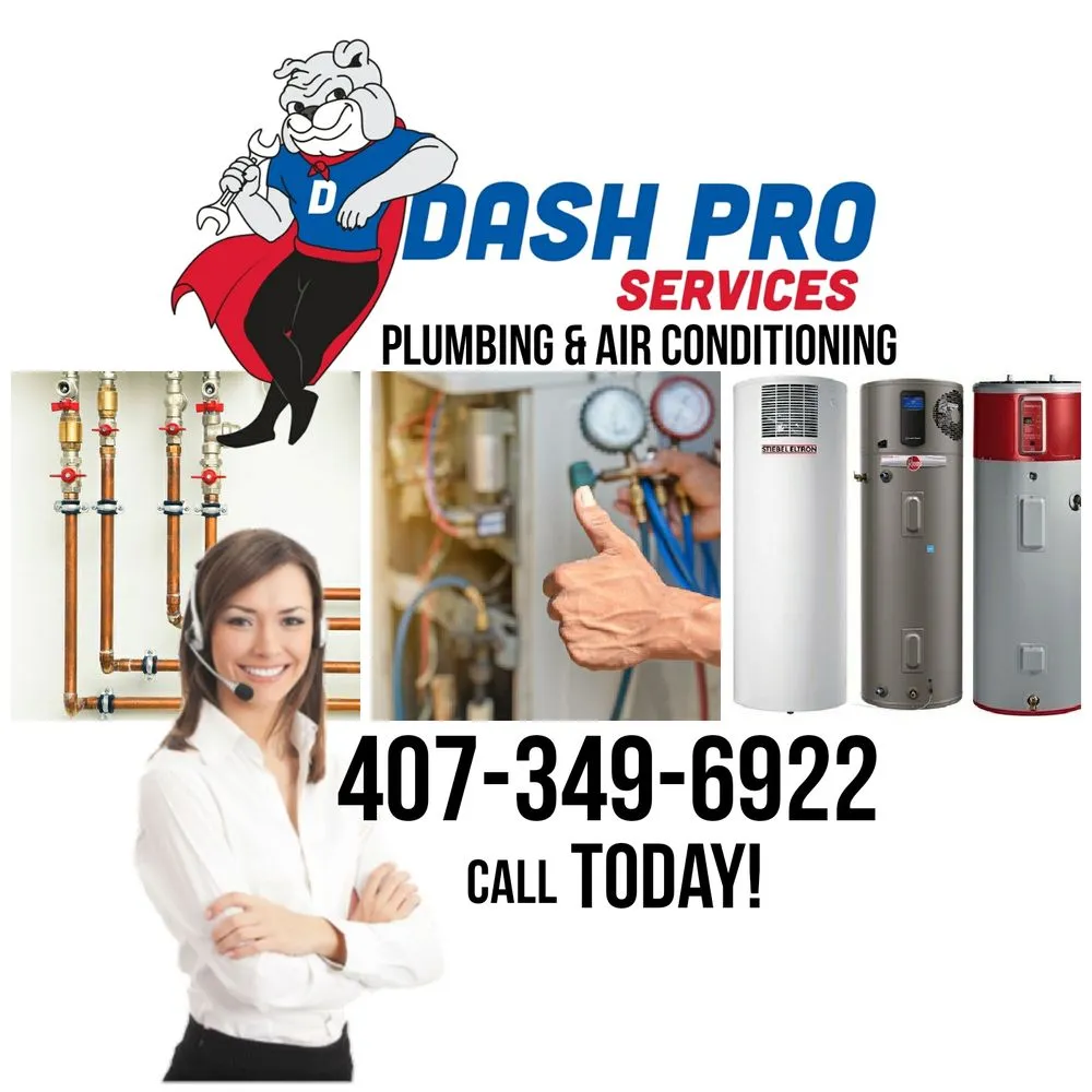 Slide of Dash Pro Services