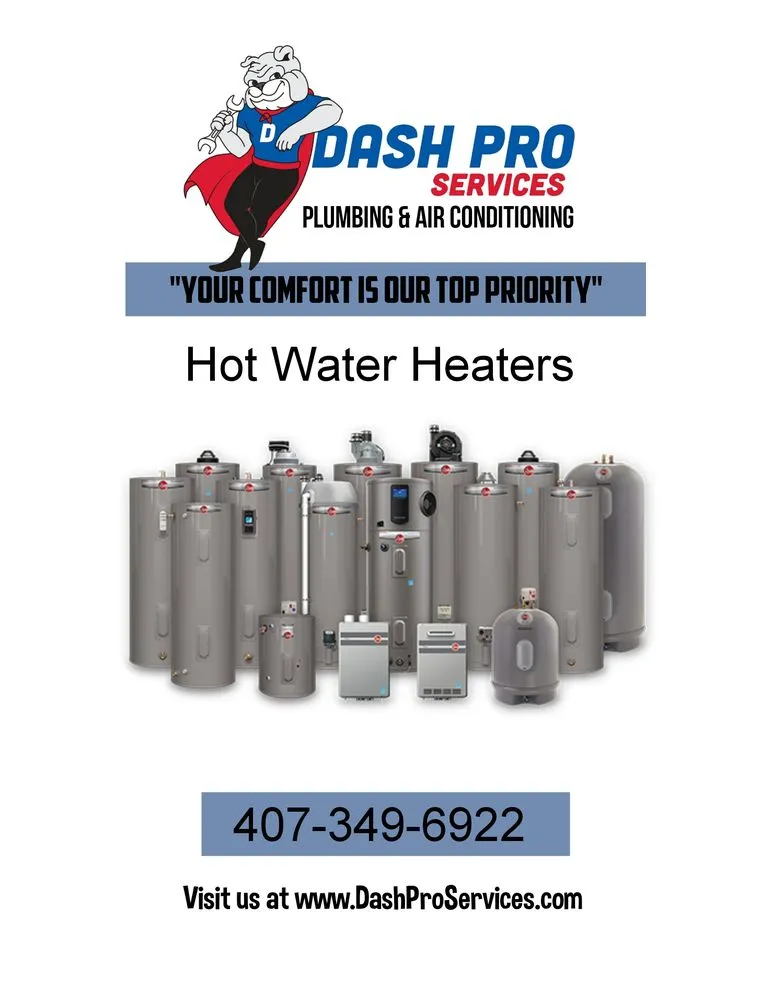 Slide of Dash Pro Services