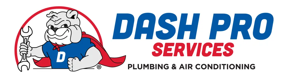 Slide of Dash Pro Services