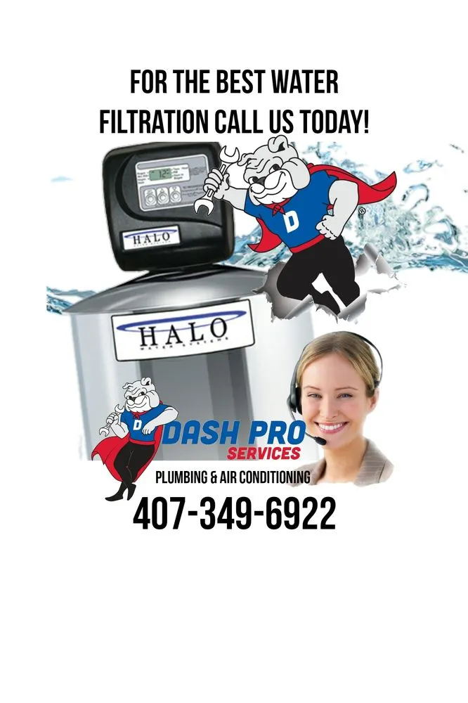 Slide of Dash Pro Services