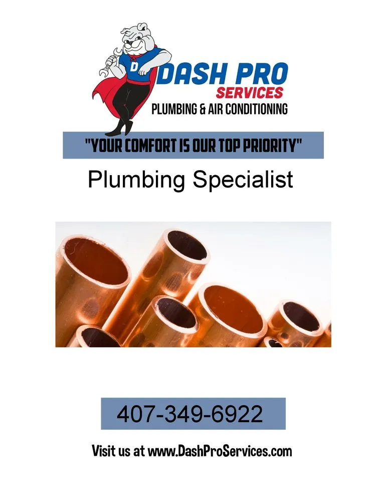 Slide of Dash Pro Services