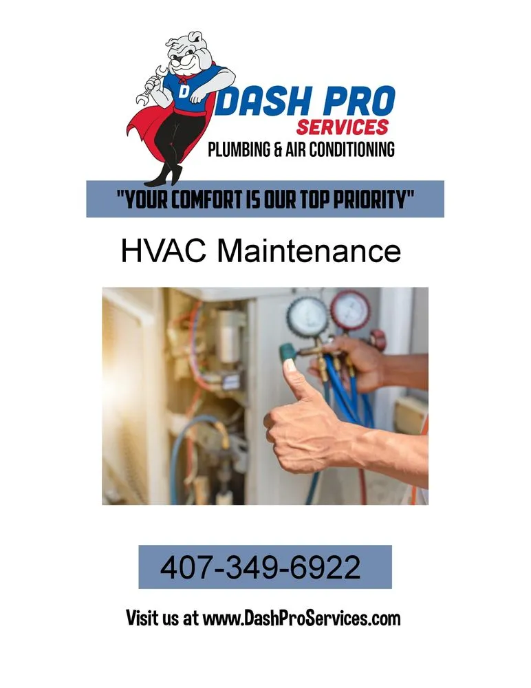 Slide of Dash Pro Services