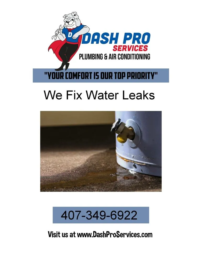 Slide of Dash Pro Services