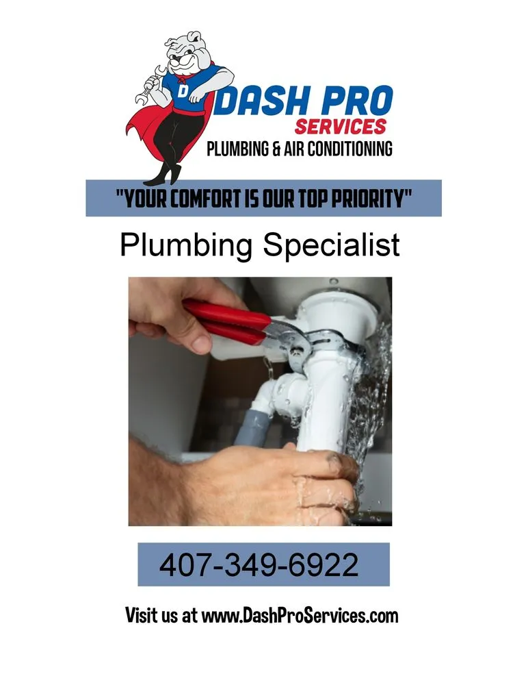 Slide of Dash Pro Services