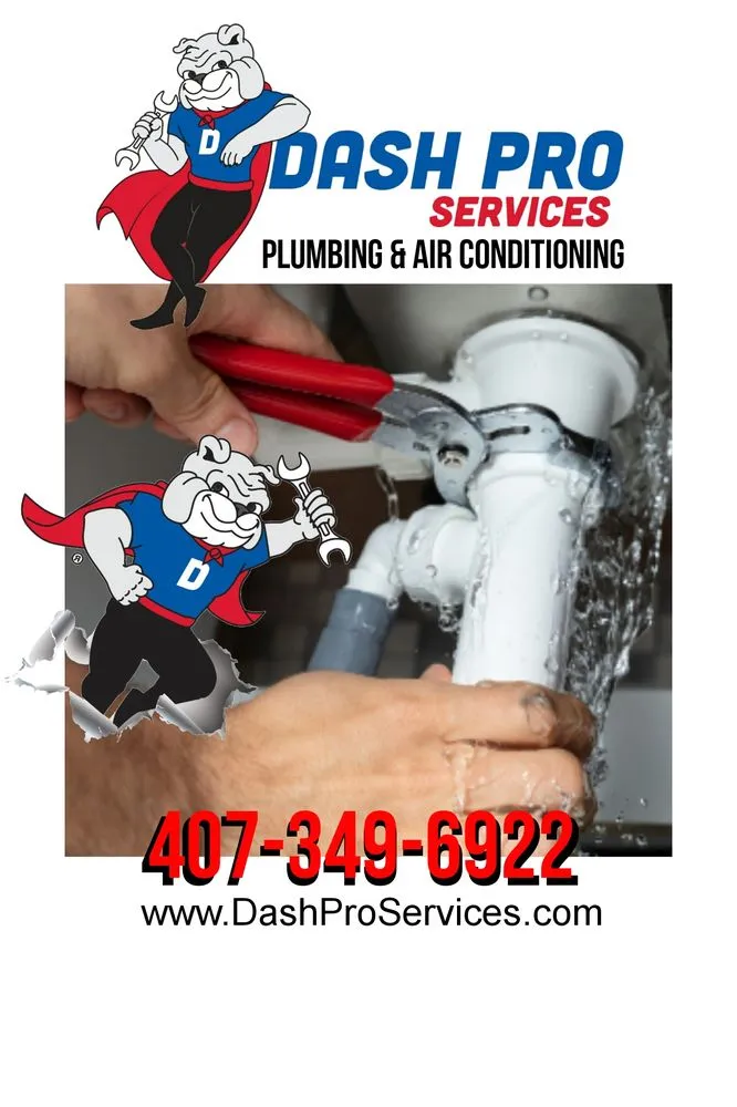 Slide of Dash Pro Services