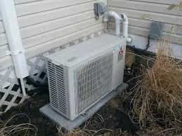 Slide of Database Woodcock Service