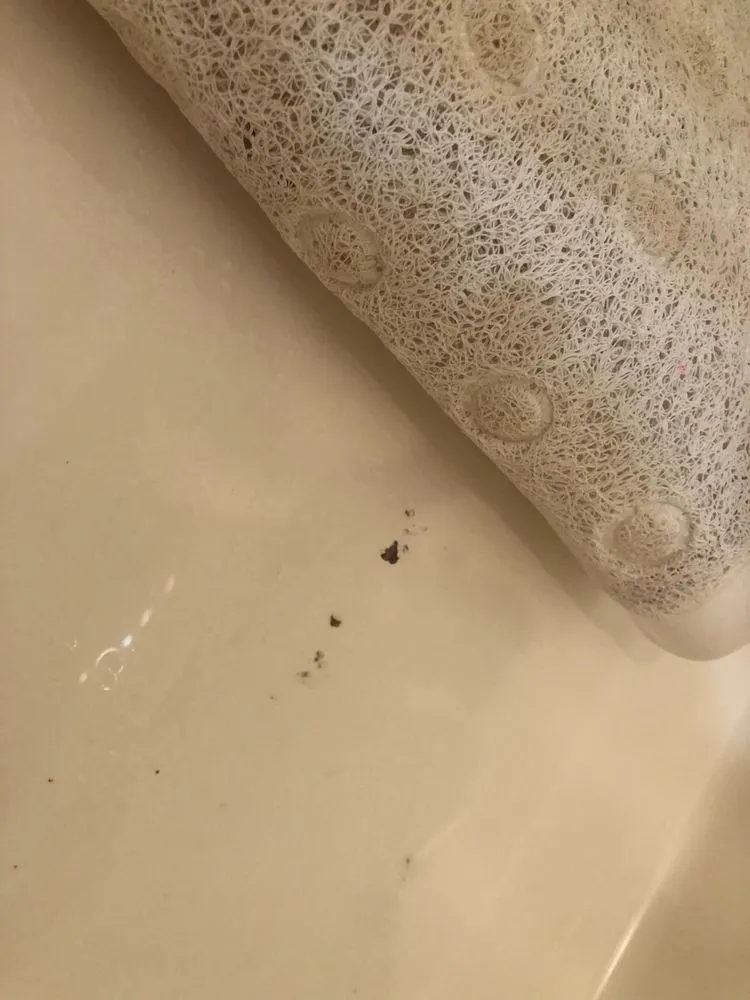 Slide of Dauenhauer Plumbing Heating & Air