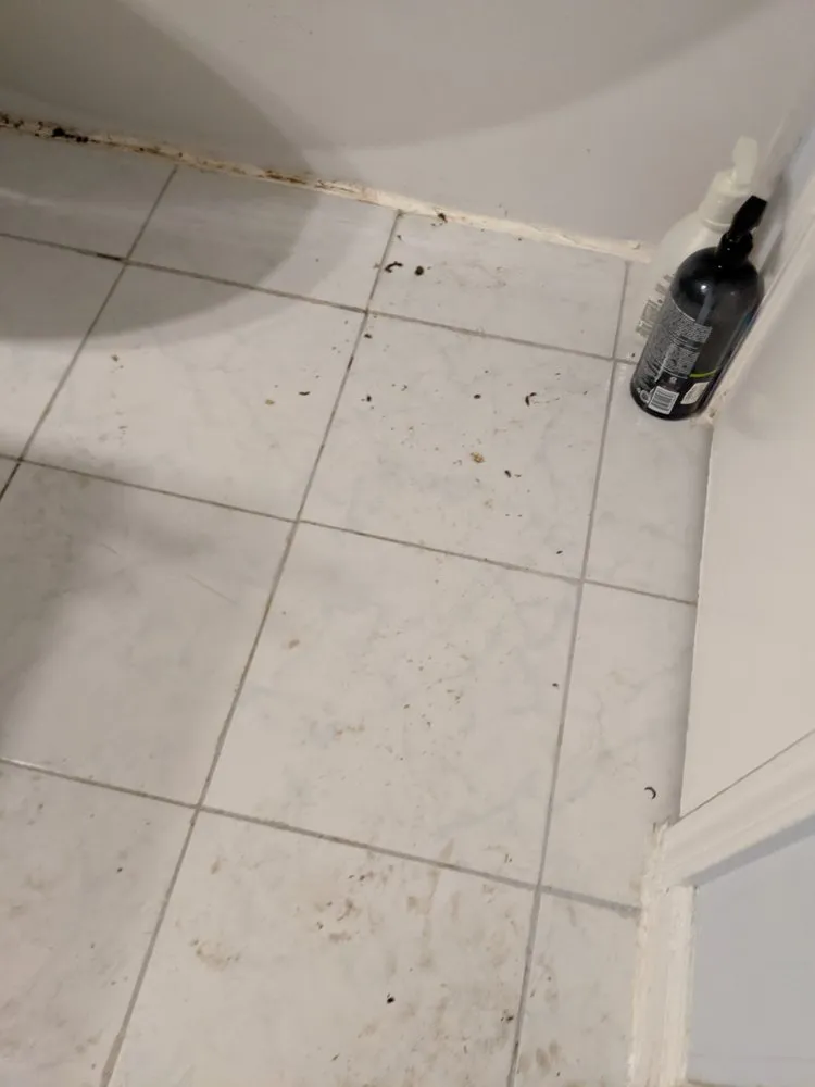 Slide of Dauenhauer Plumbing Heating & Air