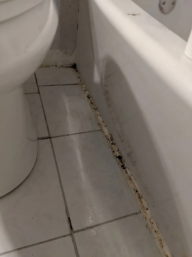 Slide of Dauenhauer Plumbing Heating & Air