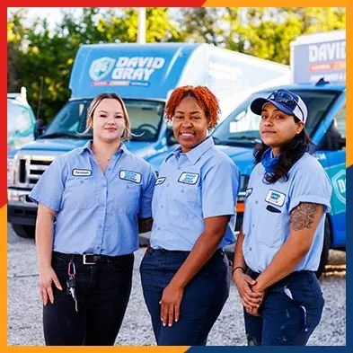 David Gray Electrical Plumbing Heating & Air Logo