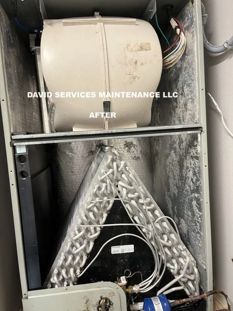 Slide of David Services Maintenance