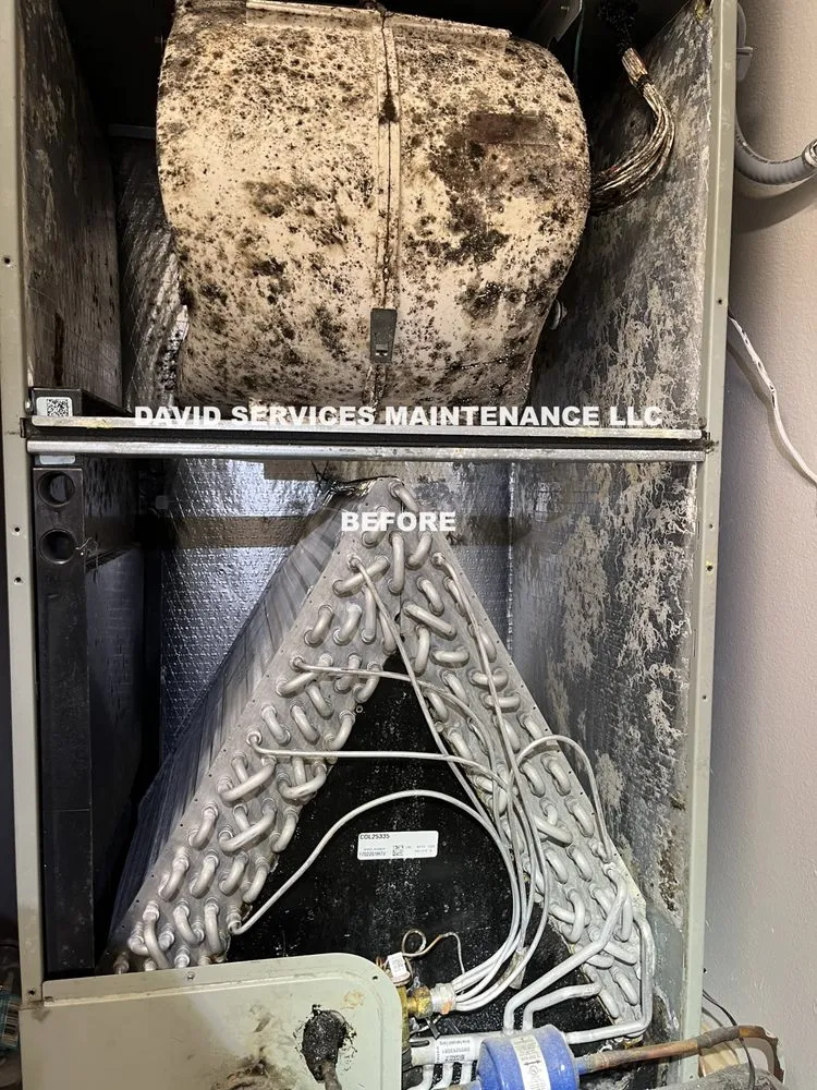 Slide of David Services Maintenance