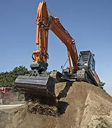 Slide of David Small