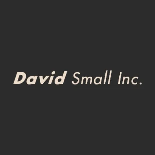 Slide of David Small
