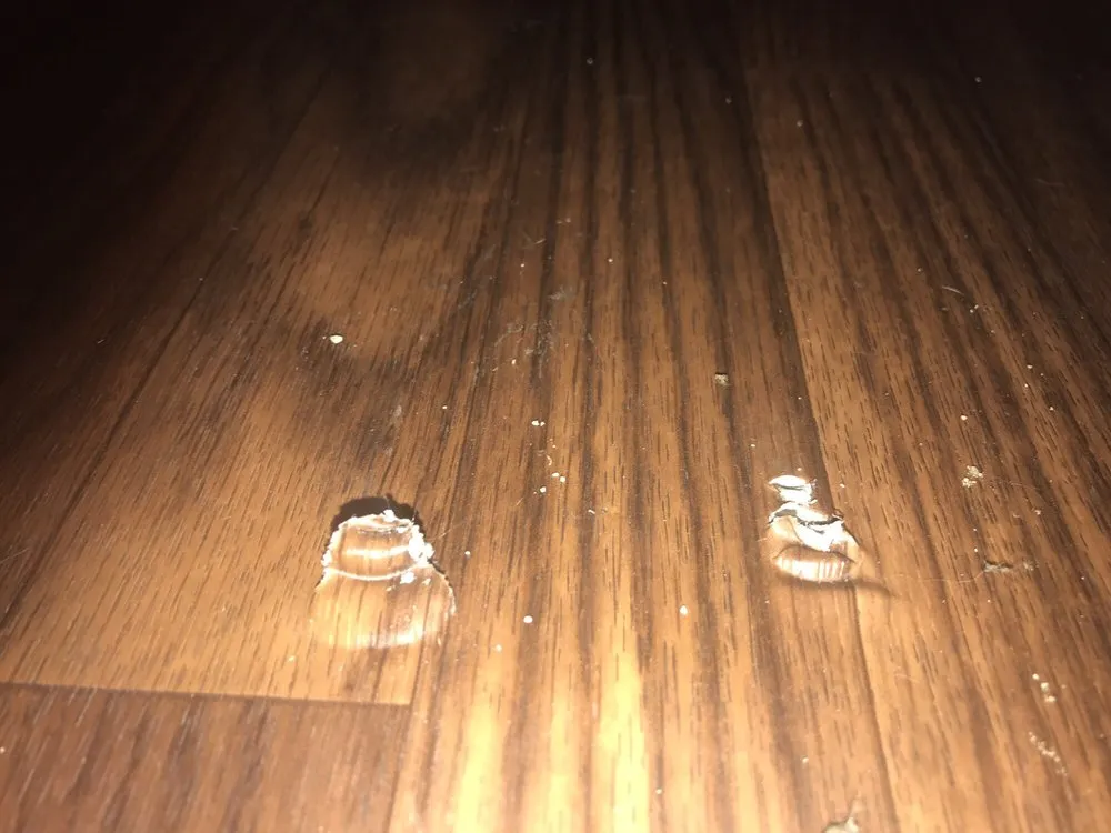 Slide of David's Appliances