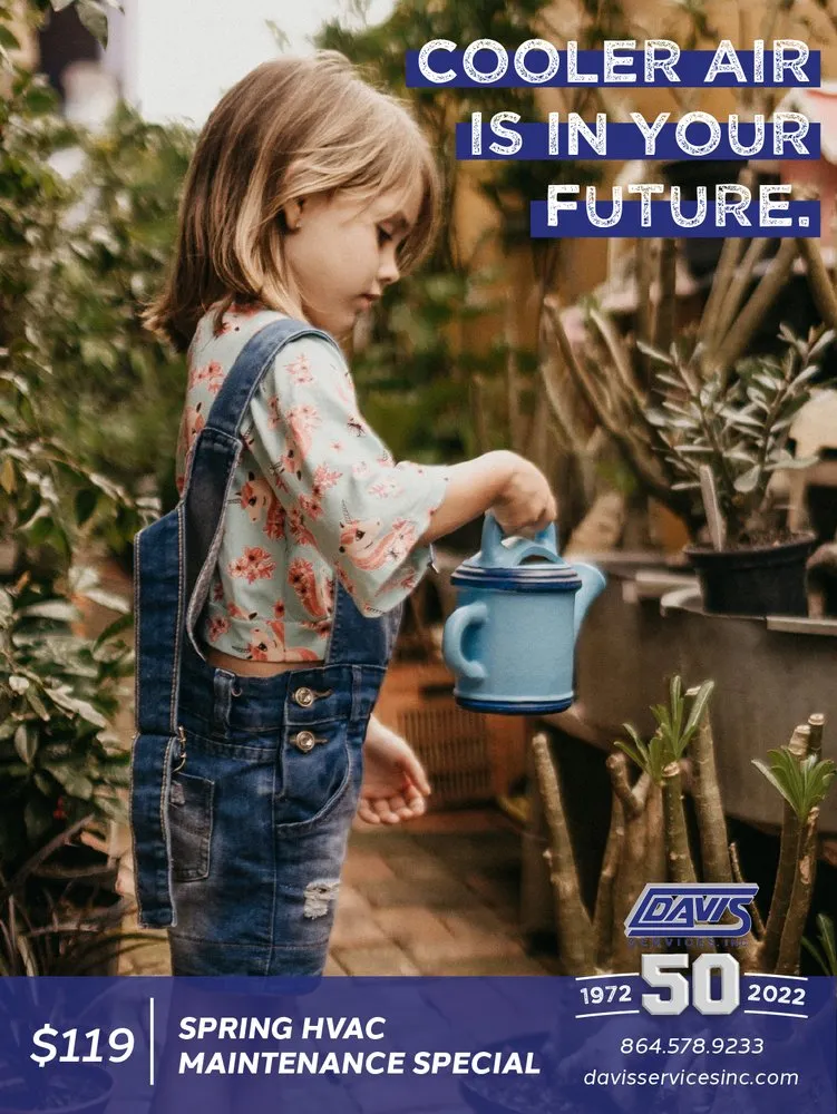 Slide of Davis Services