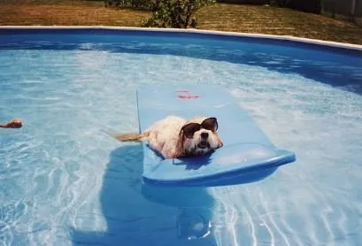 Slide of Davis Water