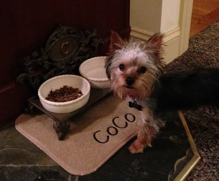 Slide of Day & Nite Heating Oil