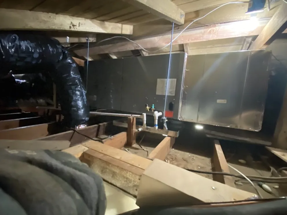 Slide of DBS Mechanical