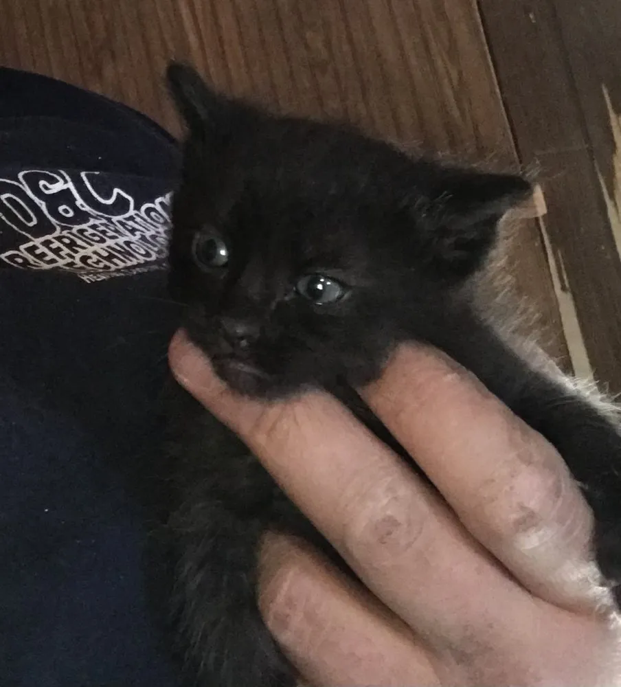 Slide of DC Refrigeration Technology