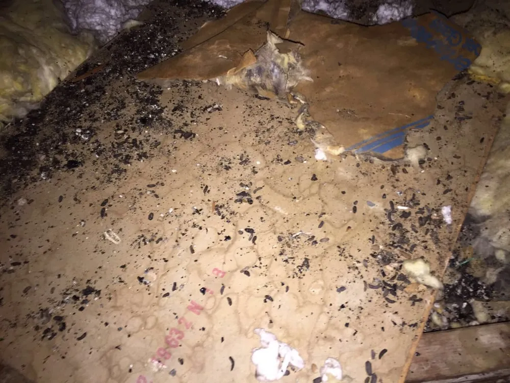 Slide of DCS HVAC Repair & Install