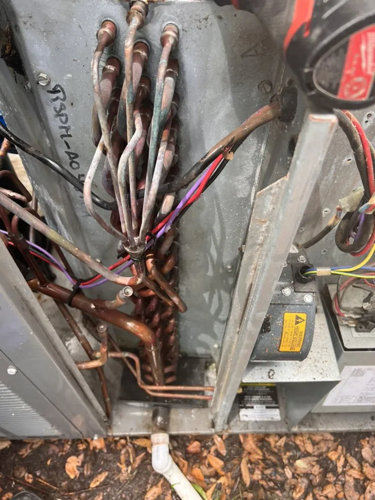 Slide of D&D Comfort Zone