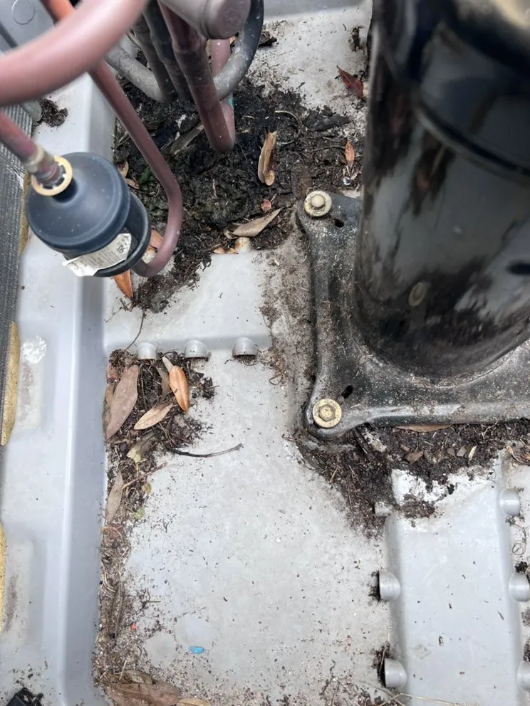 Slide of D&D Comfort Zone