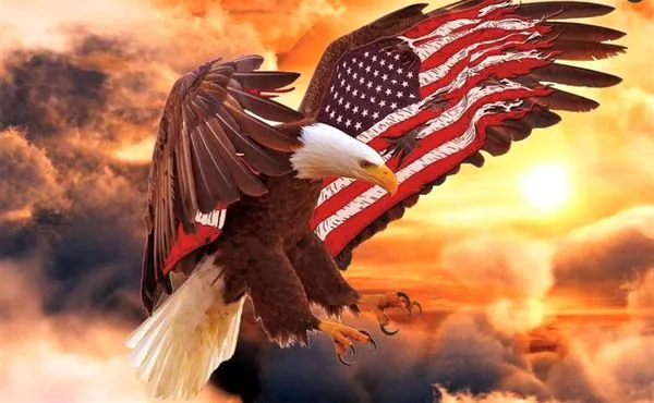 Dean Howard Heat & Air Logo