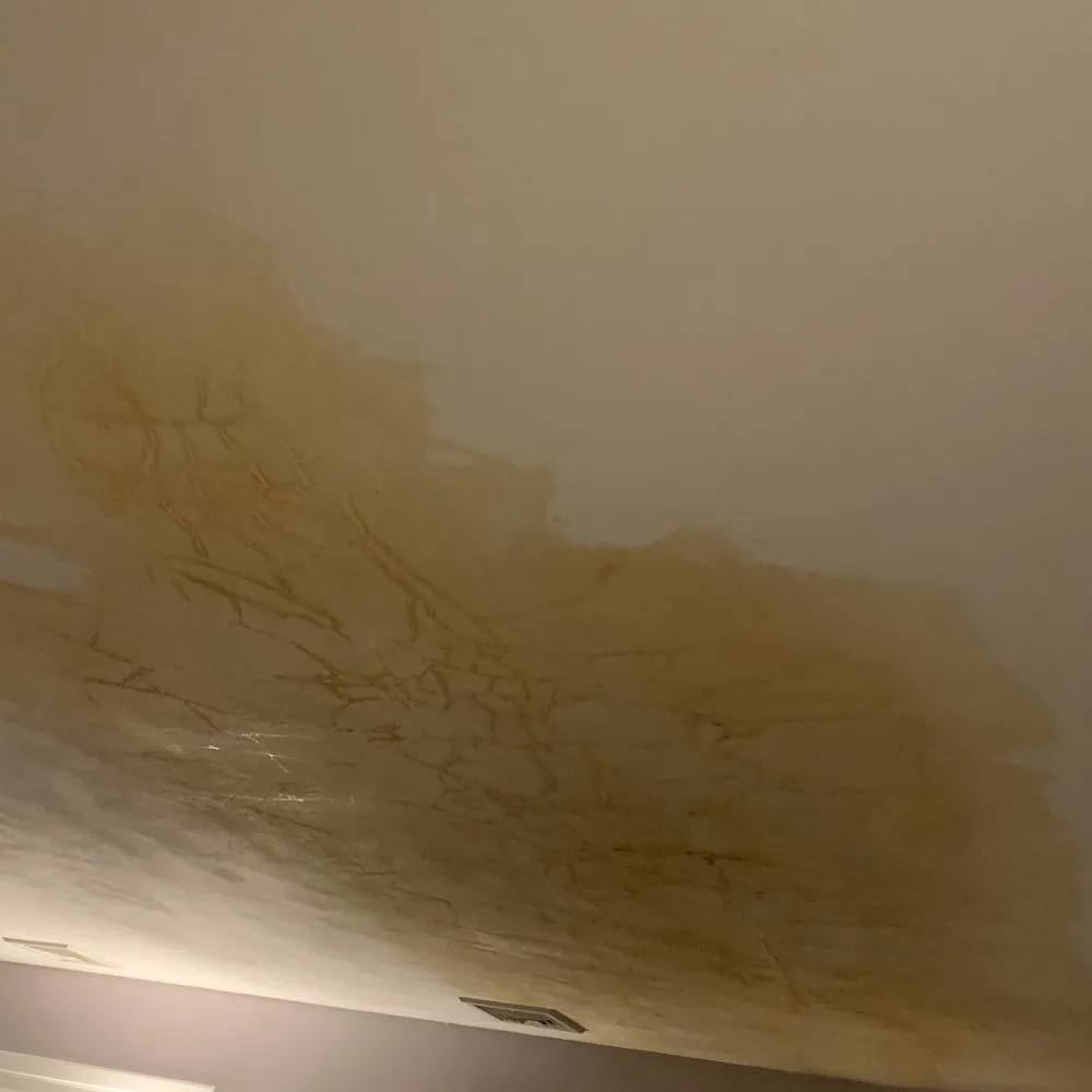 Slide of DEE Service